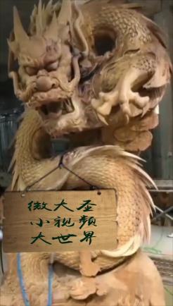 龙