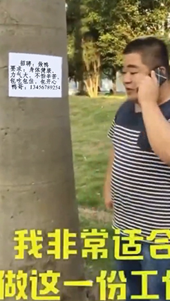 我非常适合做鸭
