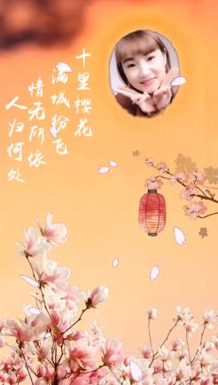 樱花相册