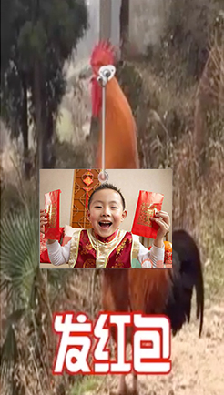 群主发红包