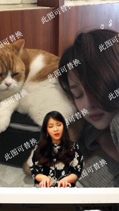 超好听烟花易冷