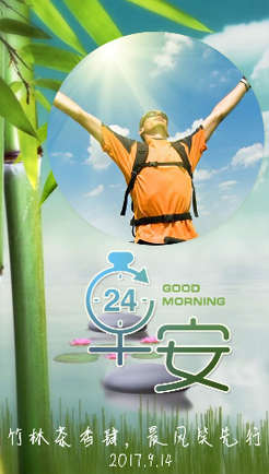 清新竹林早安