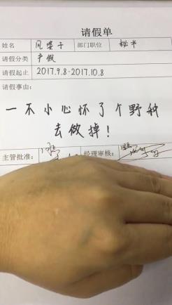奇葩请假条