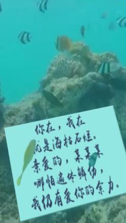 海底世界