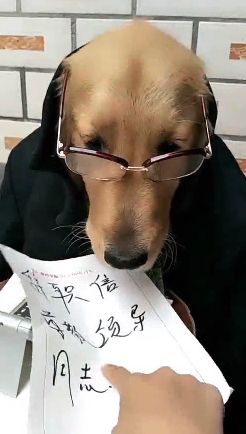 我要辞职