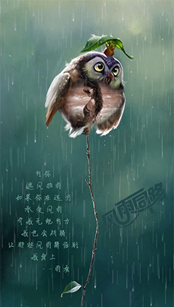 风雨同路