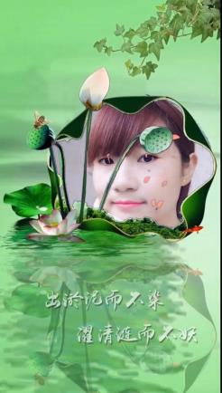 虞美人·睡莲