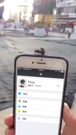 你们在我手机上干嘛呢？