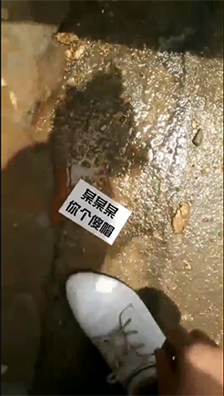 以为捡到钱