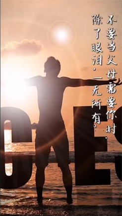 努力的意义